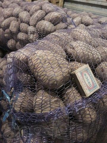 Продажа продовольственного картофеля оптом и в розницу