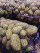 Продажа продовольственного картофеля оптом и в розницу